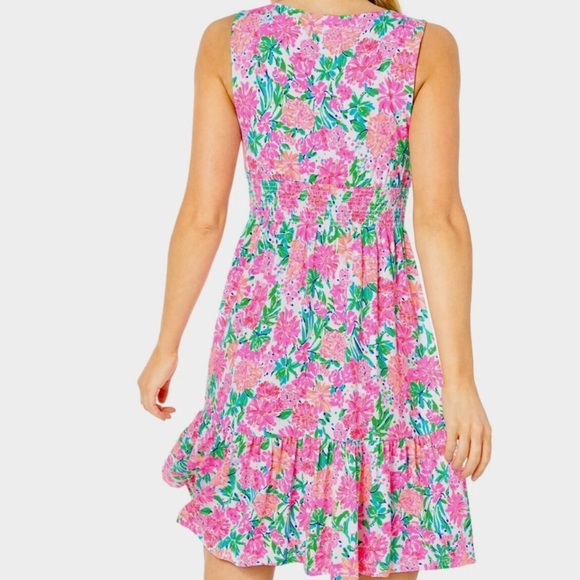 Lilly Pulitzer Vivette Ruffle Dress - Picture 12 of 12